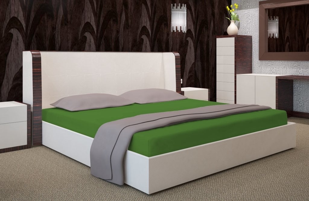 Kummiga voodilina Jersey 200x220cm, roheline III hind ja info | Voodilinad | kaup24.ee