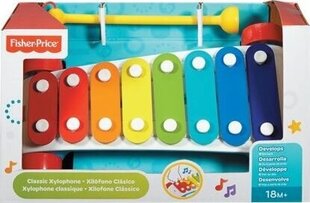 Игрушка ксилофон Fisher Price, CMY09 цена и информация | Развивающие игрушки | kaup24.ee