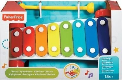 Mänguasi ksülofon Fisher Price, CMY09 hind ja info | Arendavad mänguasjad | kaup24.ee