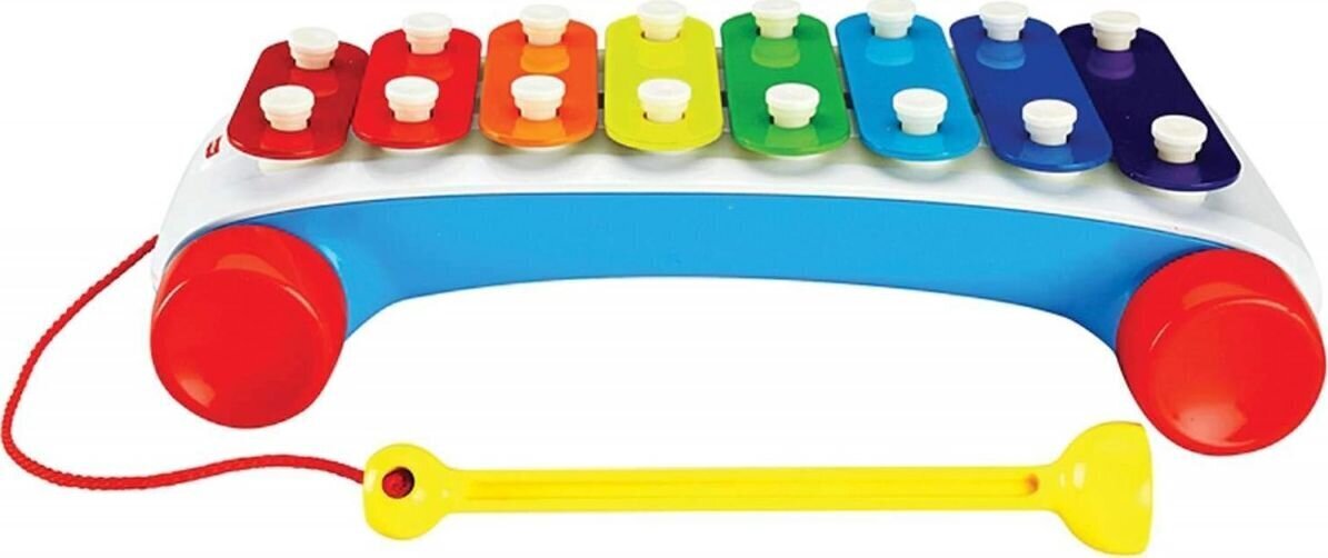 Mänguasi ksülofon Fisher Price, CMY09 hind ja info | Arendavad mänguasjad | kaup24.ee