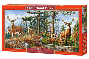 Пазл 4000 ROYAL DEER FAMILY 400317 цена и информация | Castorland Товары для детей и младенцев | kaup24.ee