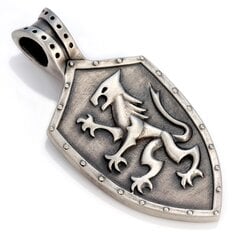 Bico "Knights Shield" satiin hõbedane viimistletud ripats (E320) hind ja info | Meeste ehted | kaup24.ee