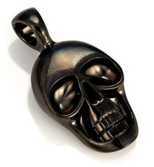 Подвеска Bico "Morty" Skull с черным покрытием (E254 Black) цена и информация | Мужские украшения | kaup24.ee