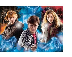 Pusle Clementoni Harry Potter, 35082, 500 tk, 8+ a цена и информация | Пазлы | kaup24.ee
