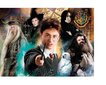 Pusle Clementoni Harry Potter, 35083, 500 tk, 8+ a цена и информация | Pusled | kaup24.ee