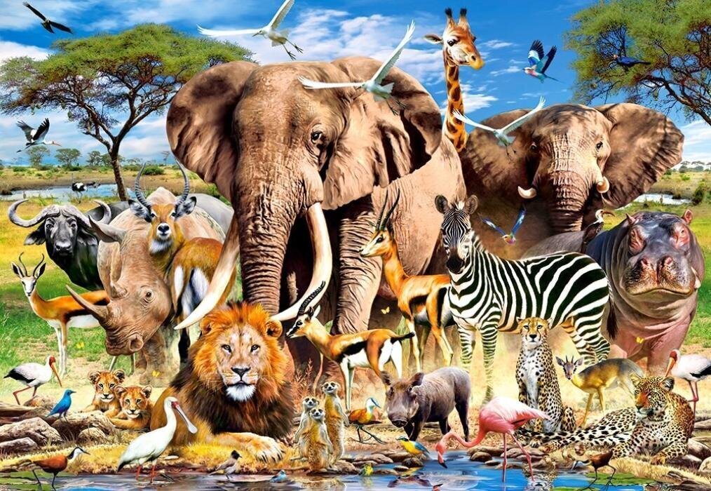 Pusle Castorland Puzzle Savanna Animals, 1500-osaline hind ja info | Pusled | kaup24.ee