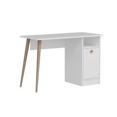 Письменный стол Kalune Design Cannas, белый цена и информация | Компьютерные, письменные столы | kaup24.ee