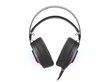 Juhtmega mänguri kõrvaklapid Genesis Neon 600 цена и информация | Kõrvaklapid | kaup24.ee