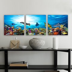 Репродукция из трех частей Подводный мир цена и информация | Картины, живопись | kaup24.ee