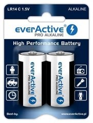 EverActive EVLR14-PRO (2) цена и информация | Аккумуляторы | kaup24.ee