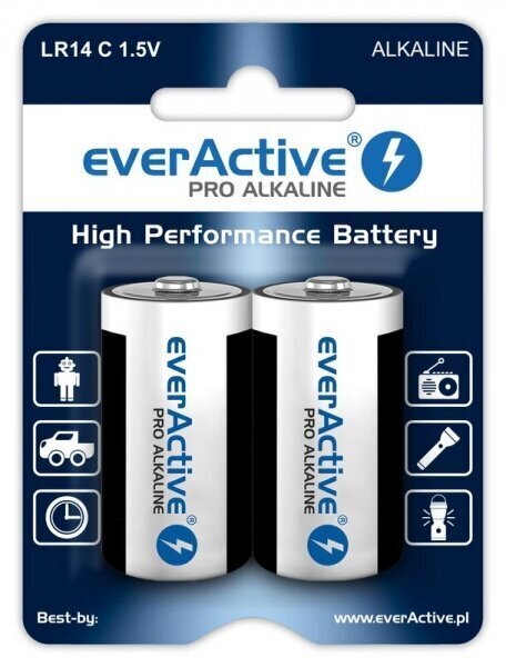 EverActive EVLR14-PRO (2) цена и информация | Akud videokaameratele | kaup24.ee