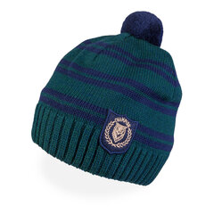 Зимняя шапка TuTu для мальчиков, темно-синяя цена и информация | Зимняя одежда для детей | kaup24.ee