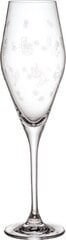 Villeroy&Boch šampanjaklaaside komplekt Toy's Delight, 2 tk цена и информация | Стаканы, фужеры, кувшины | kaup24.ee