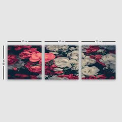 Репродукция из трех частей Белые и розовые цветочные цветы цена и информация | Картины, живопись | kaup24.ee