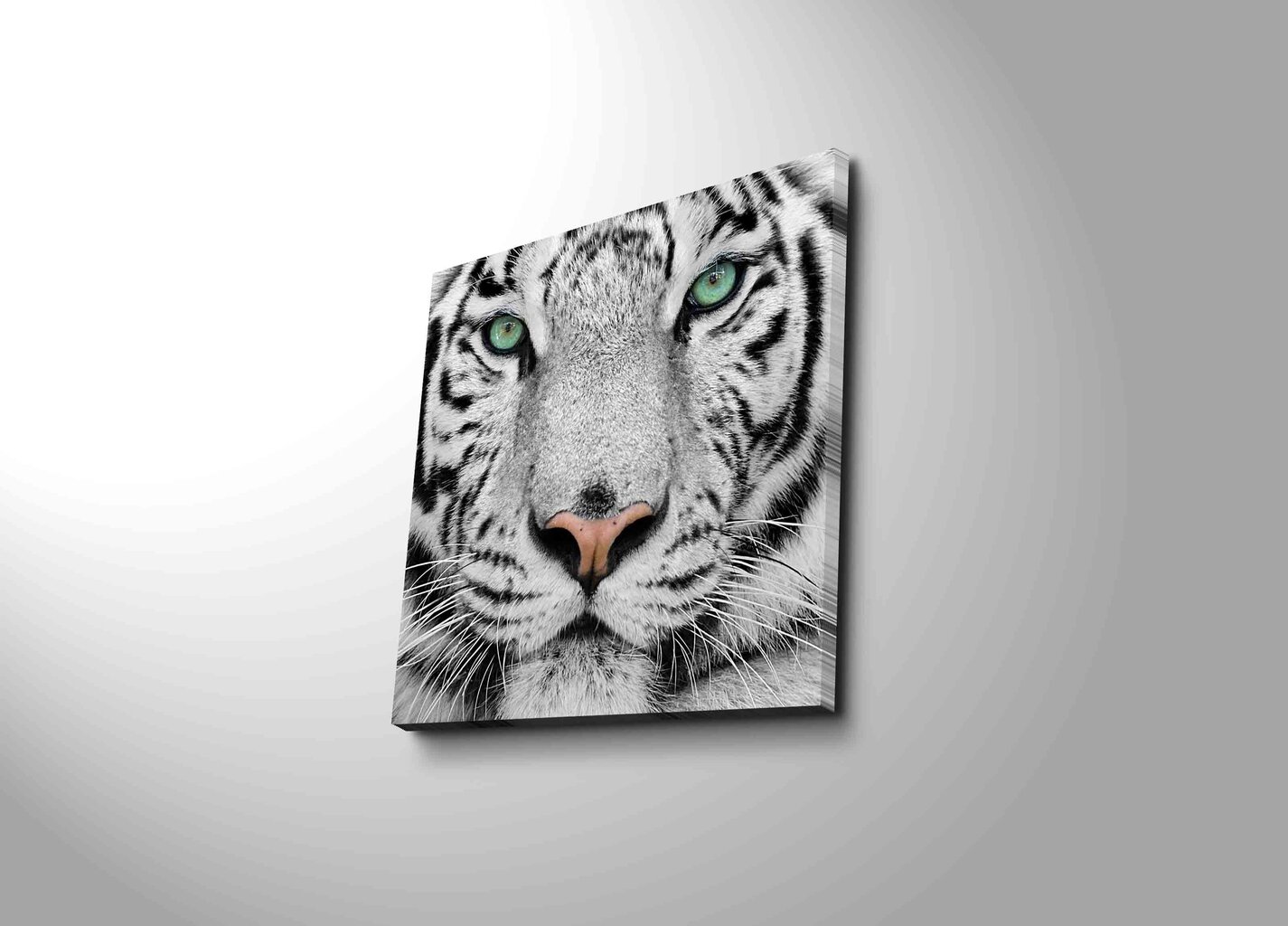 Reproduktsioon Valge tiiger hind ja info | Seinapildid | kaup24.ee