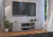 TV-laud ADRK Furniture Petra, helehall hind ja info | TV alused | kaup24.ee