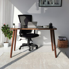 Письменный стол Kalune Design Cozy, коричневый цена и информация | Компьютерные, письменные столы | kaup24.ee