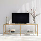 TV-laud Kalune Design Basic TV501, kuldset värvi hind ja info | TV alused | kaup24.ee
