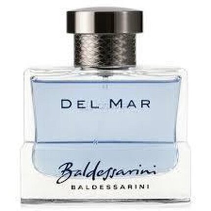 Tualettvesi Baldessarini Del Mar EDT meestele 90 ml hind ja info | Meeste parfüümid | kaup24.ee