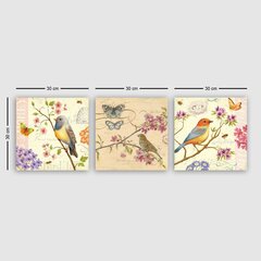 Репродукция из трех частей Птицы и цветы цена и информация | Репродукции, картины | kaup24.ee