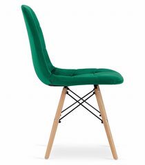 4-tooli komplekt Dumo, roheline hind ja info | Söögilaua toolid, köögitoolid | kaup24.ee