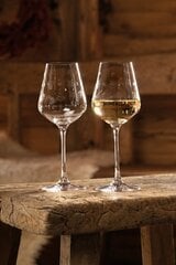 Villeroy & Boch valge veini klaasikomplekt Toy's Delight, 2 tk. hind ja info | Klaasid, tassid ja kannud | kaup24.ee