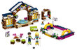 41322 LEGO® FRIENDS Talvekeskuse uisuväli цена и информация | Klotsid ja konstruktorid | kaup24.ee