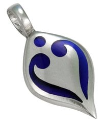 Bico "Heart"s Glow" väike läbipaistev sinine vaik ja metallist ripats (BTS15 sinine) цена и информация | Украшения на шею | kaup24.ee