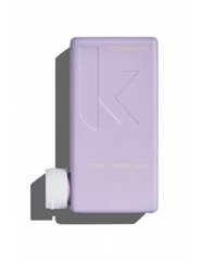 Šampoon heledatele juustele Kevin Murphy Blond Angel Wash 250 ml hind ja info | Šampoonid | kaup24.ee