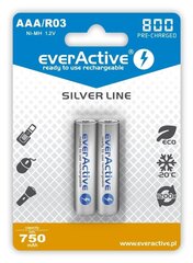 Аккумуляторные батарейки everActive EVHRL03-800 цена и информация | Батарейки | kaup24.ee