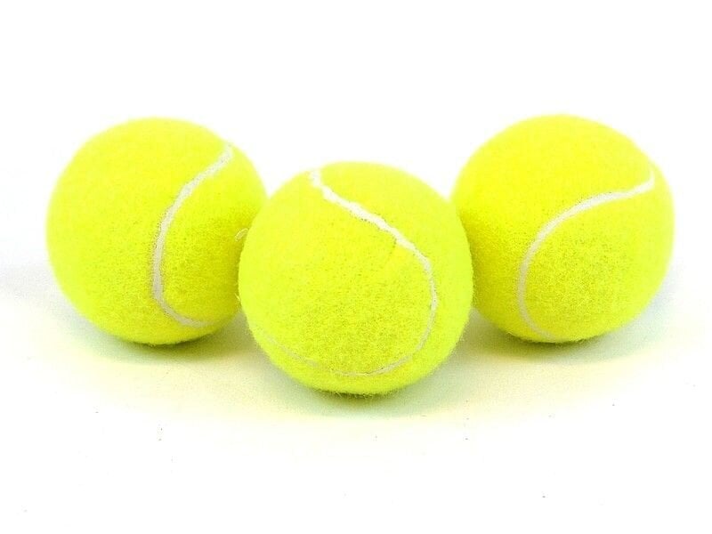 Tennisepallid 3tk. 8579 цена и информация | Välitennise tooted | kaup24.ee