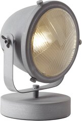 Настольный светильник Carmen 94928/70 цена и информация | Настольная лампа | kaup24.ee