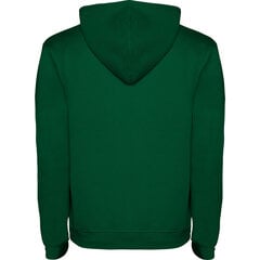 Hoodie худи с двухцветным капюшоном Urban SU1067 зеленый/серый цена и информация | свитер e193 - черный | kaup24.ee