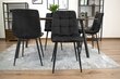 4-tooli komplekt Sara, must цена и информация | Söögitoolid, baaritoolid | kaup24.ee