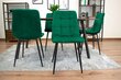 4-tooli komplekt Sara, roheline hind ja info | Söögitoolid, baaritoolid | kaup24.ee