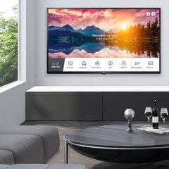 LG 43US662H0ZC цена и информация | Телевизоры | kaup24.ee