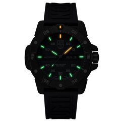 Luminox Master Carbon SEAL Automatic Military Dive Watch XS.3863 XS.3863 цена и информация | Мужские часы | kaup24.ee