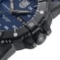 Luminox Master Carbon SEAL Automatic Military Dive Watch XS.3863 XS.3863 цена и информация | Meeste käekellad | kaup24.ee