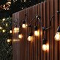LED lambiketi komplekt rippuvate pesadega 5M 10 PIRNI hind ja info | Jõulutuled | kaup24.ee