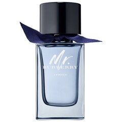 Burberry Mr. Burberry Indigo EDT meestele 100 ml цена и информация | Мужские духи | kaup24.ee