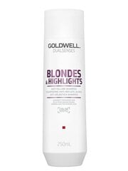 Goldwell Dualsenses Blondes & HighLights šampoon 250ml цена и информация | Шампуни | kaup24.ee