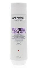 Goldwell Dualsenses Blondes & HighLights šampoon 250ml цена и информация | Шампуни | kaup24.ee