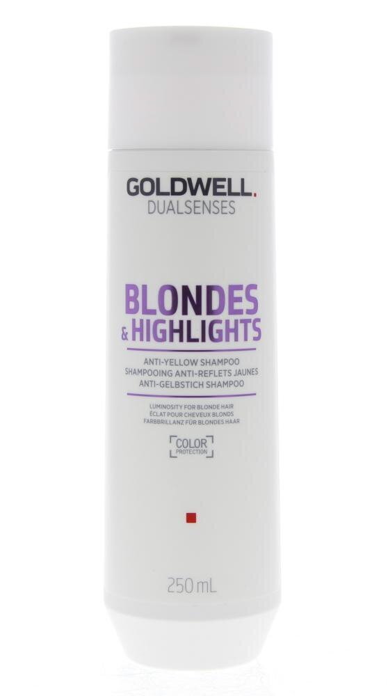 Goldwell Dualsenses Blondes & HighLights šampoon 250ml hind ja info | Šampoonid | kaup24.ee