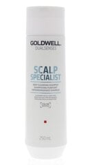Šampoon Goldwell Dualsenses Deep Cleansing 250 ml hind ja info | Šampoonid | kaup24.ee