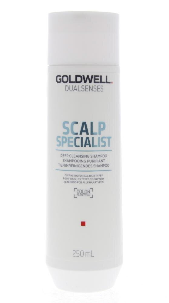 Šampoon Goldwell Dualsenses Deep Cleansing 250 ml hind ja info | Šampoonid | kaup24.ee