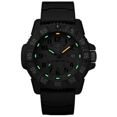 Мужские часы Luminox Master Carbon SEAL XS.3813.L  цена и информация | Мужские часы | kaup24.ee