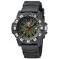 Luminox Master Carbon SEAL XS.3813.L XS.3813.L hind ja info | Meeste käekellad | kaup24.ee