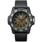 Luminox Master Carbon SEAL XS.3813.L XS.3813.L hind ja info | Meeste käekellad | kaup24.ee