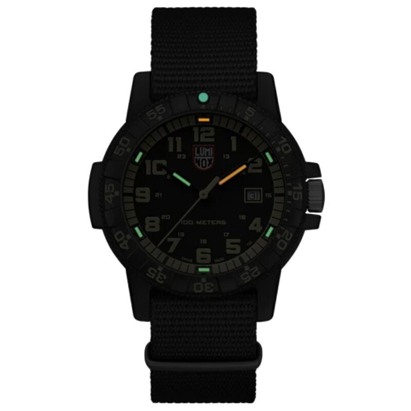 Luminox Leatherback SEA Turtle Giant XS.0333 XS.0333 hind ja info | Meeste käekellad | kaup24.ee