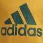 Adidas Džemprid B Bl Sweat Green Yellow GS4274/140 hind ja info | Poiste kampsunid, vestid ja jakid | kaup24.ee